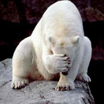 Ульяна Волкова