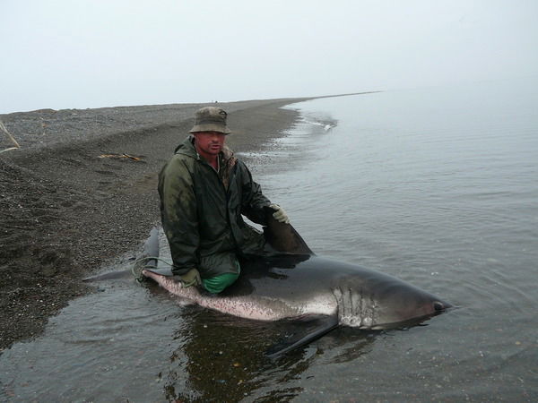 Равиль Алмакаев