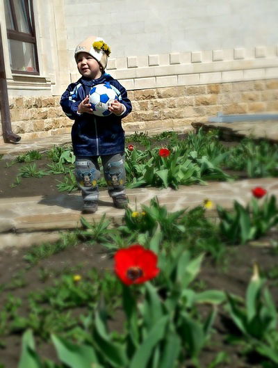 Вера Новикова