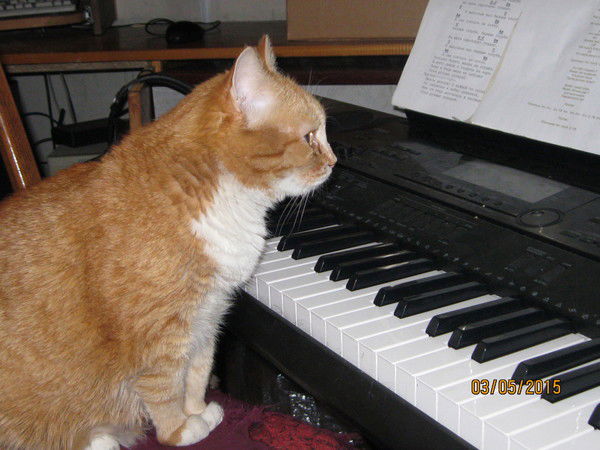 Юрий Чижаков