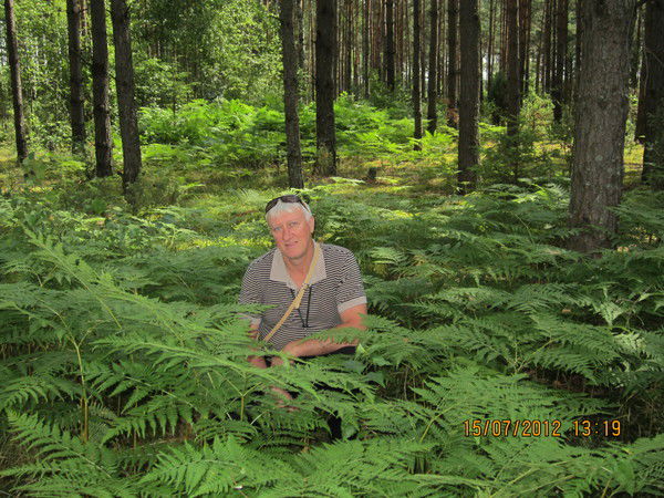 Александр Яковлев