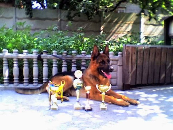 Валентина Эрлецкис