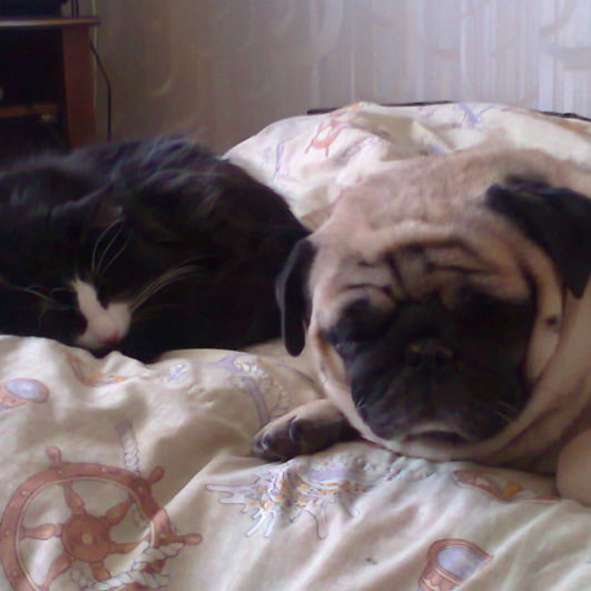 Наталья Натальина