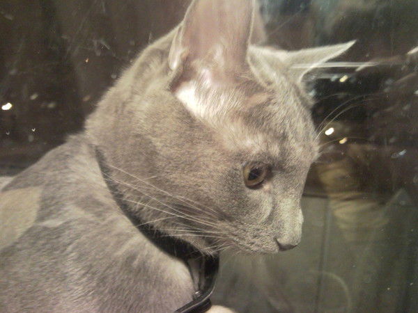 Наталия Жукова