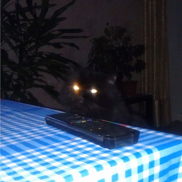 Алексей Горбунов