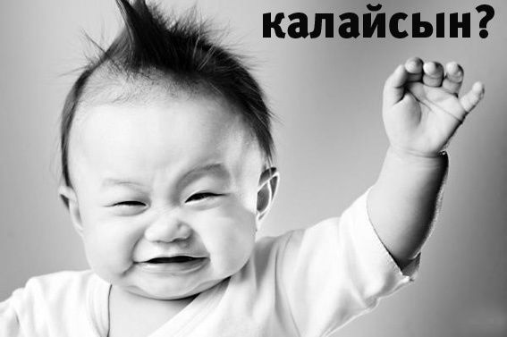 Умит Жакупова