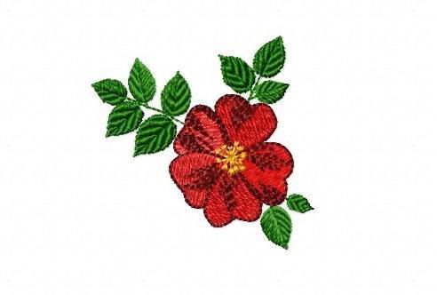 Света Ивкина