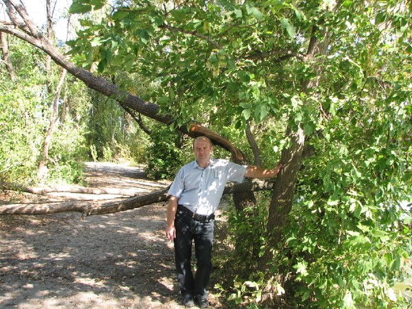 Николай Виноградов