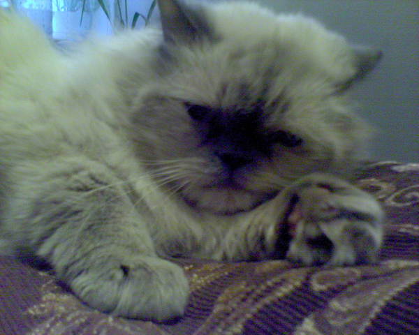 Валерий Ященок