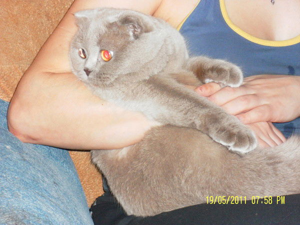 Тоня Новикова