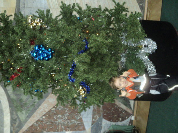 Елена Курышина