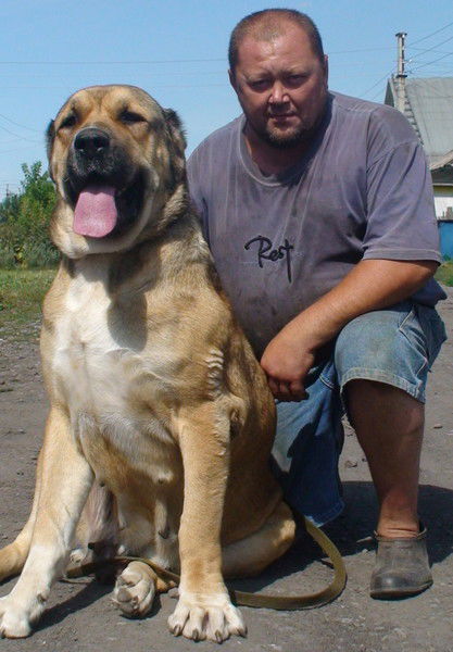 Алексей Нагаев