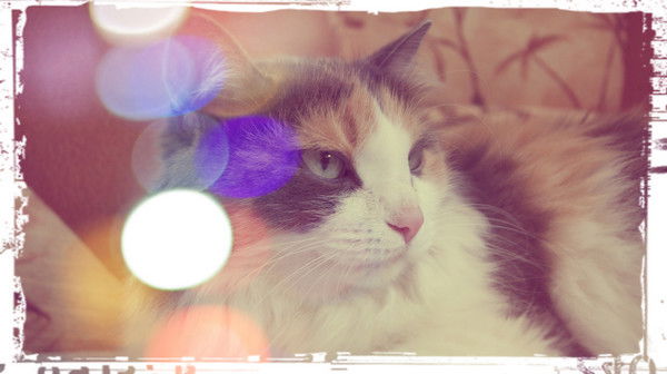 Людмила Казакова