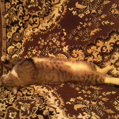 Михаил Михаил