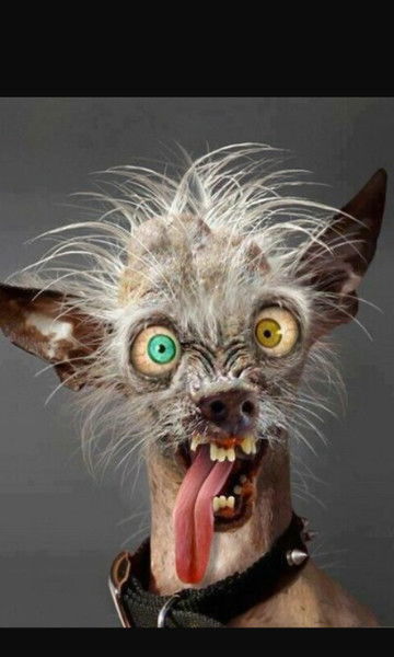 Анжела Анжела