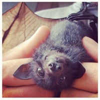 Анастасия Громова