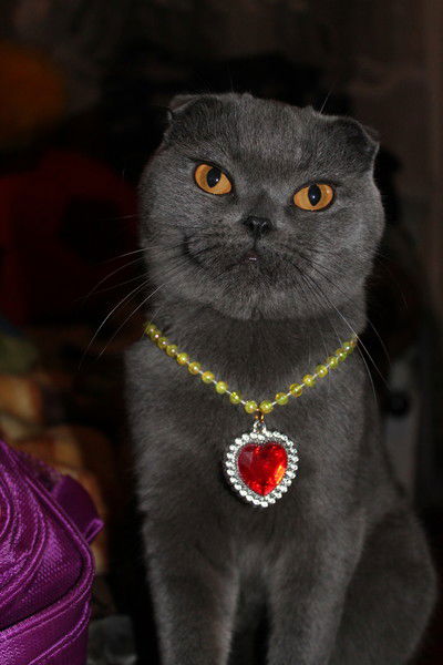 Маргарита Мармелад