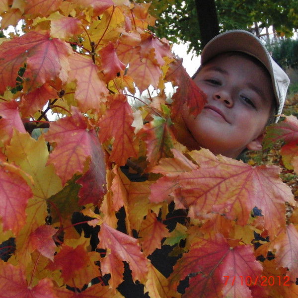 Илья Карамышев