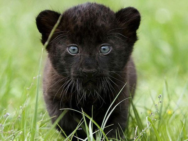 Евгения Кожухова