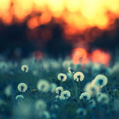 Ксения Иванова