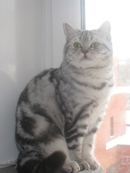 Ольга Губочкина