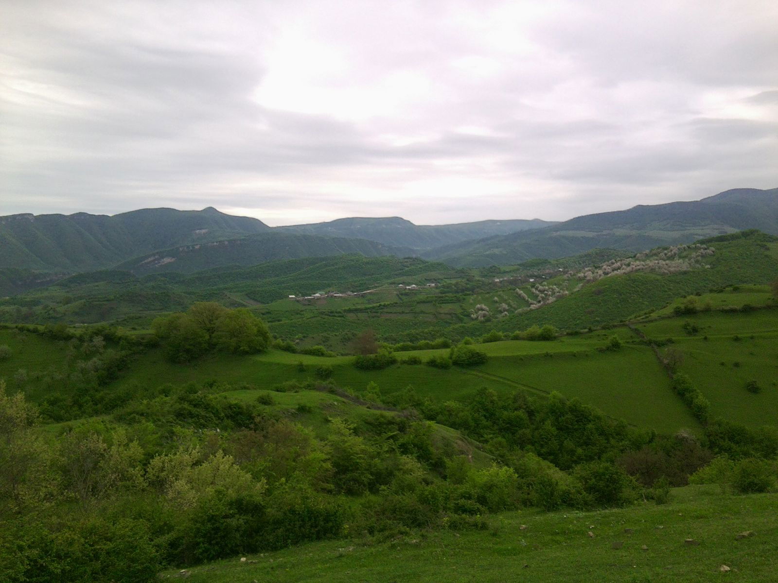 Гаджи Гаджи