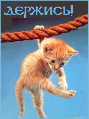 Николай Удовенко