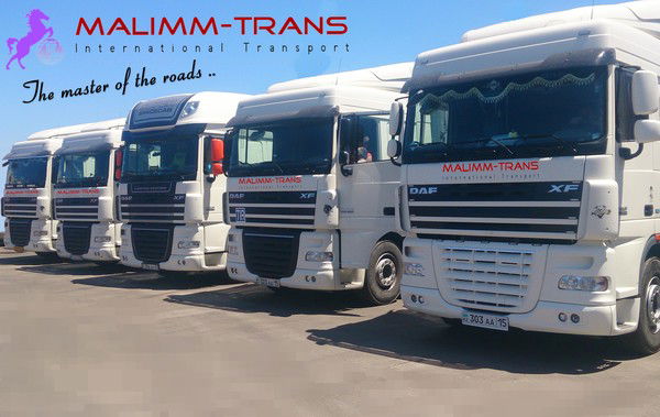 Irina_Malimm-Trans Ирина