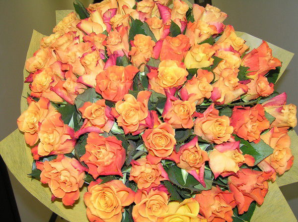 Жанетта Панарина