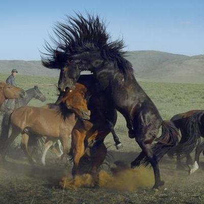 Светлана Саая