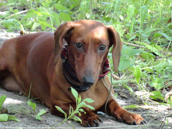 Тамара Александровна