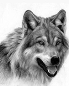 Диана Дегтярёва