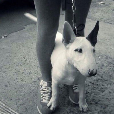 Карина Коник