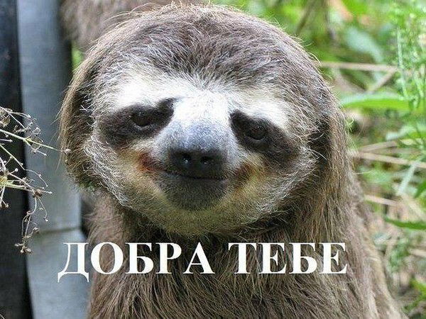 Олеся Яркова