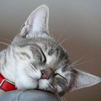 Руслан Рябцев