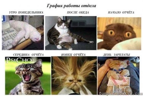 Ксения Лахтина