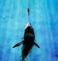 Анастасия Герман