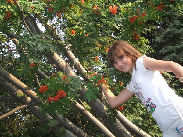 Анжела Костенко