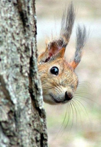 Марина Кулакова