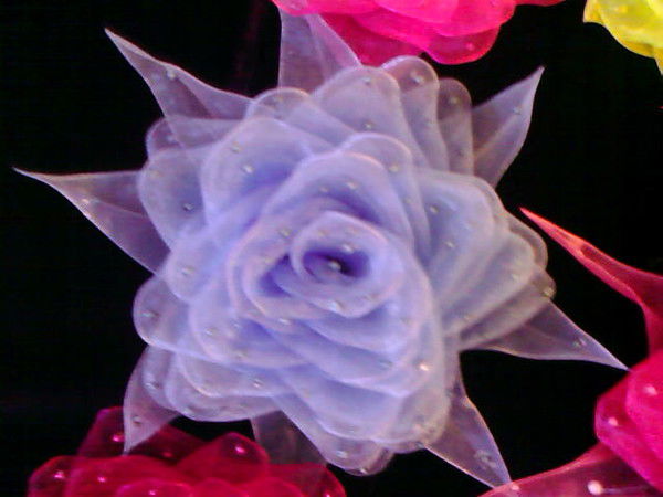 Елена Мостобаева