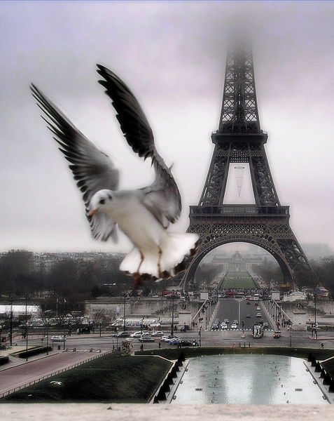 Кайсар Кайнарбаев