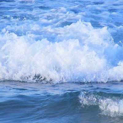 Светлана Фёдорова