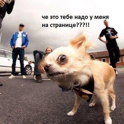 Алексей Кайб