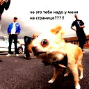 Алексей Кайб