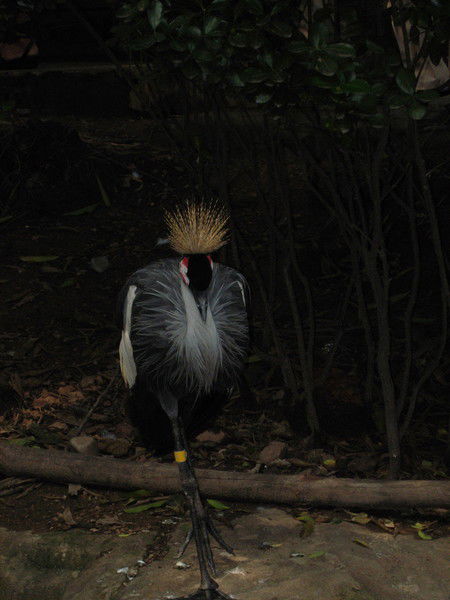 Владимир Фролов