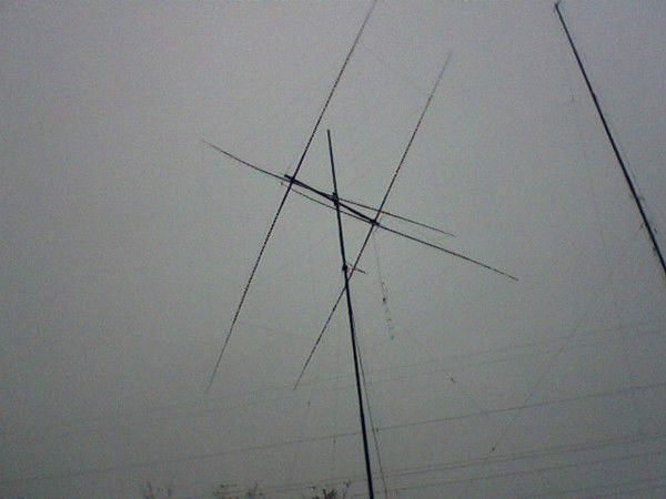 Александр Афельт