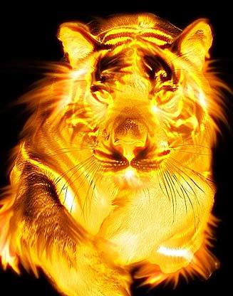 Баян Cулу Туребекова