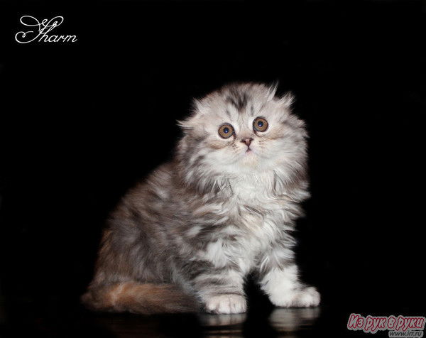 Ирина Решетникова