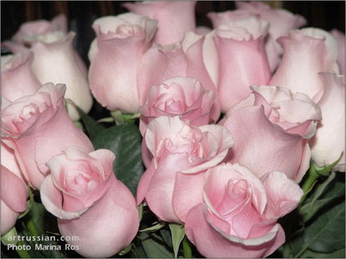 Индира Килыбай