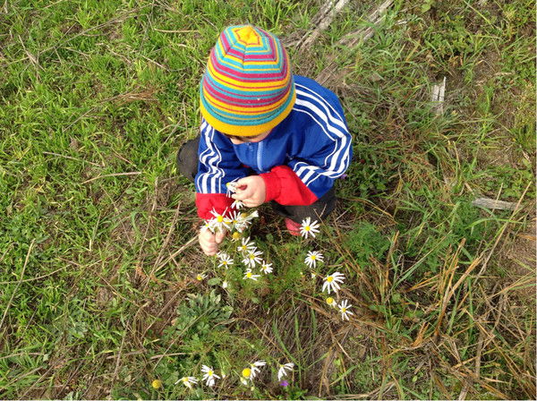 Анжелика Глушкова